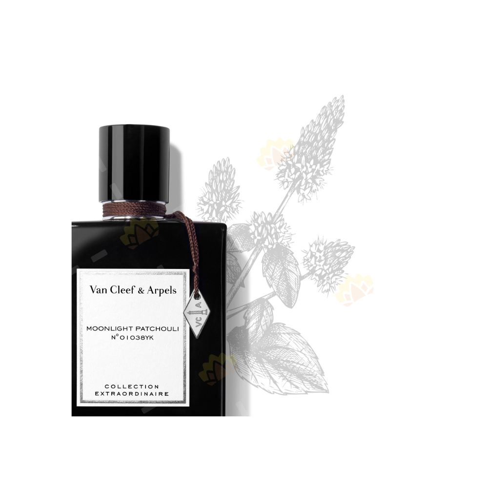 MOONLIGHT PATCHOULI