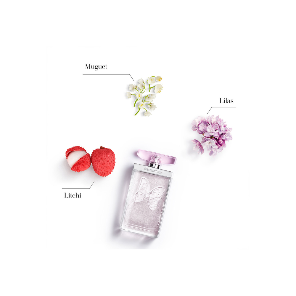 NATURE EDP