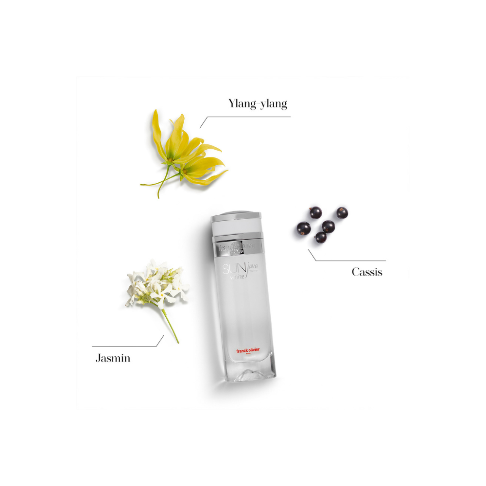 SUN JAVA WHITE EDP