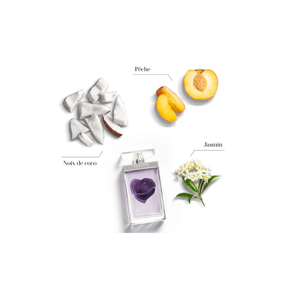 PASSION EDP