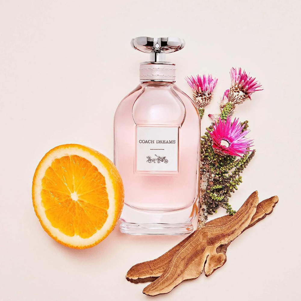 Coach Dreams EDP