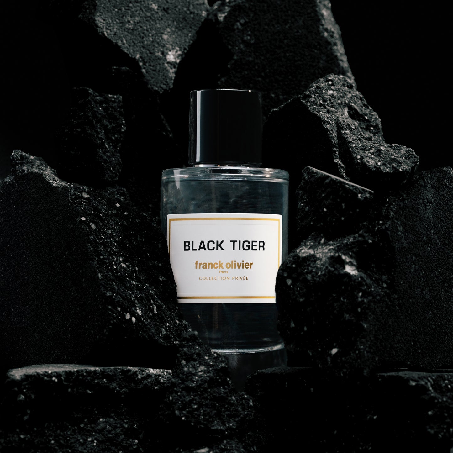BLACK TIGER