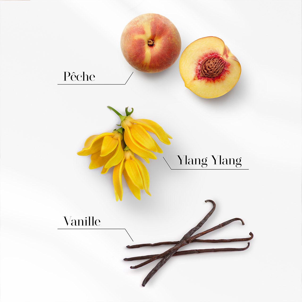 Franck Oliver Women's Collection 3